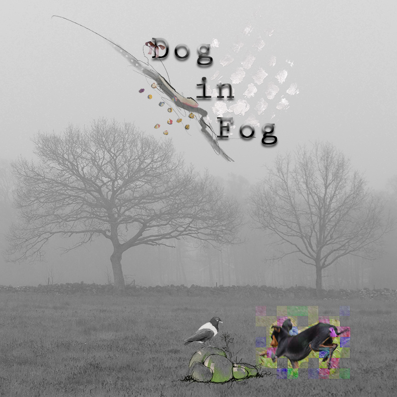 January 5 - Grid Photo - Dog in Fog