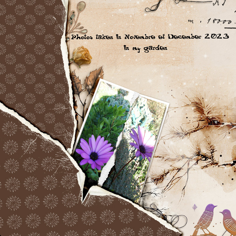 January-5---Torn-photos-collage