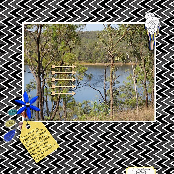 January 6-Chevrons or Arrows-Cormorants