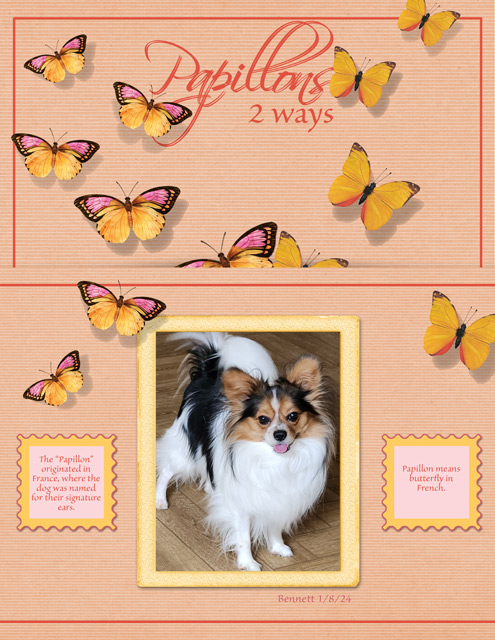 January-8---12-of-One-Thing---Papillons---2-Ways