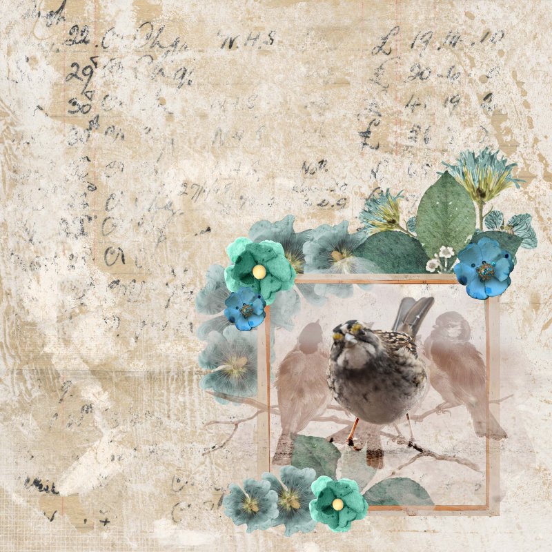 January 8: Florals, Foliage and Frames