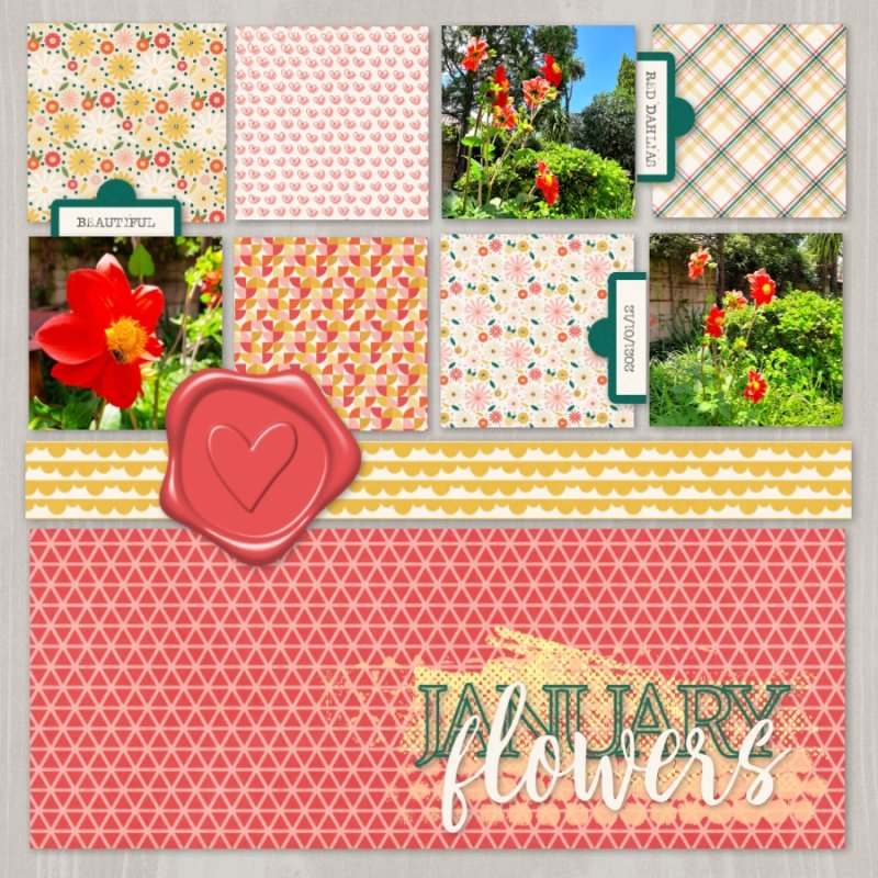 January Flowers
