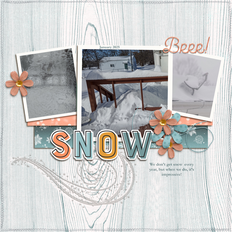 January-snowfall