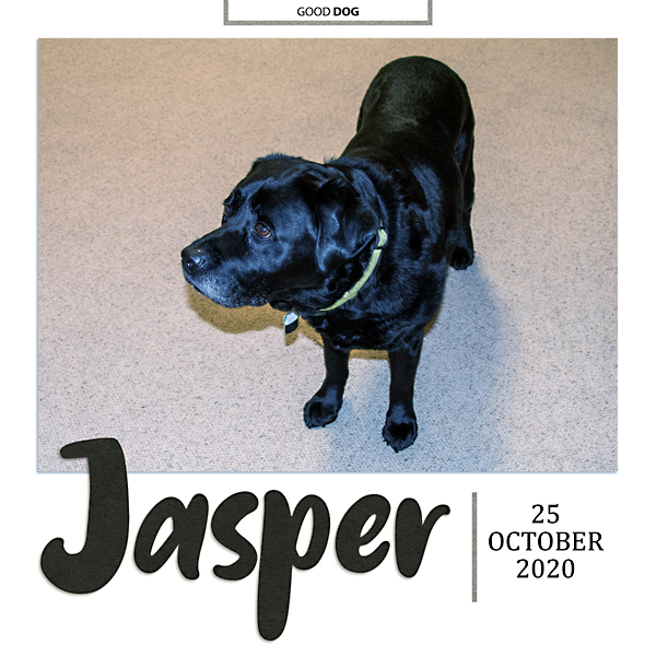 Jasper