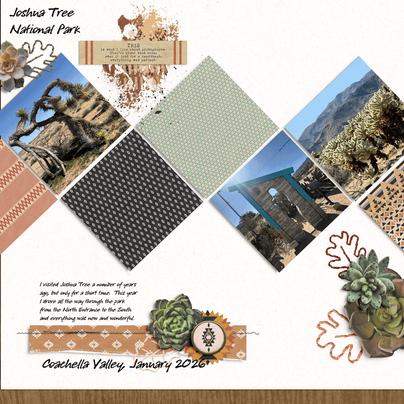 Joshua Tree