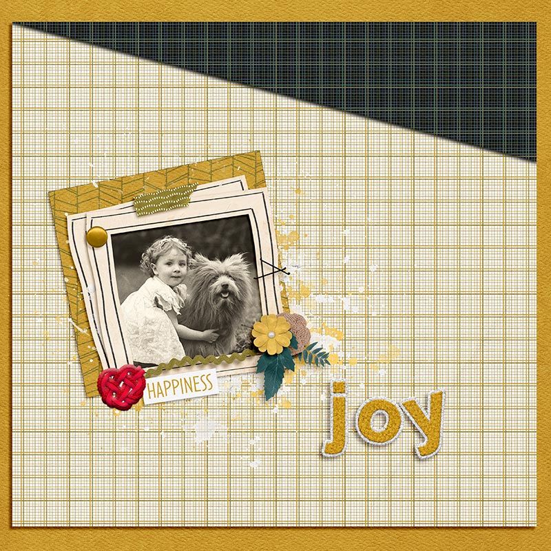 Joy