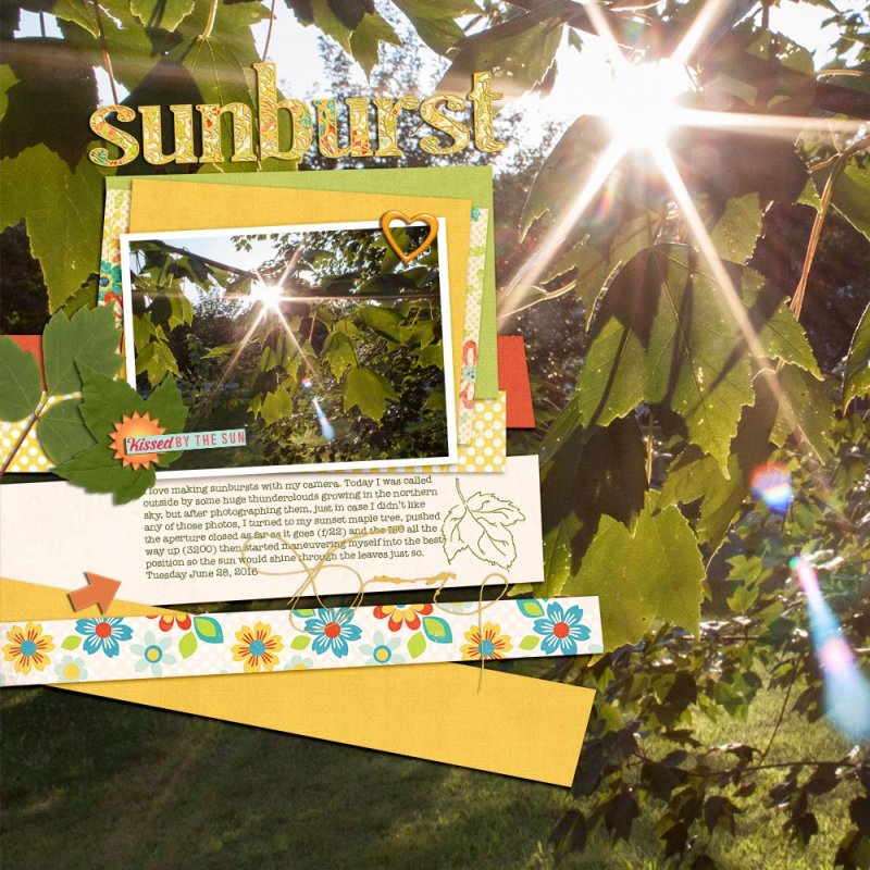 July template - sunburst