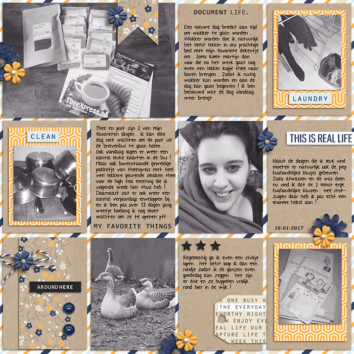Jumbbumble-moh14-small