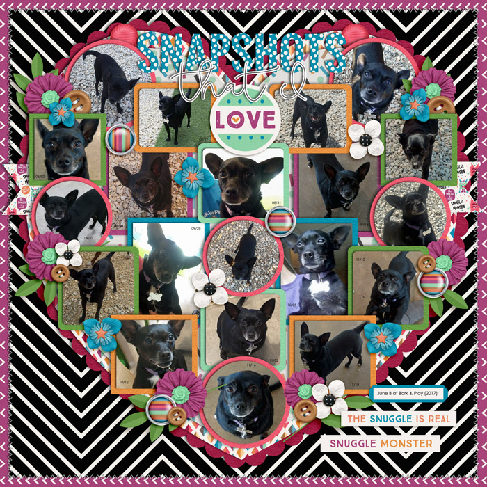June B @ Bark and Play