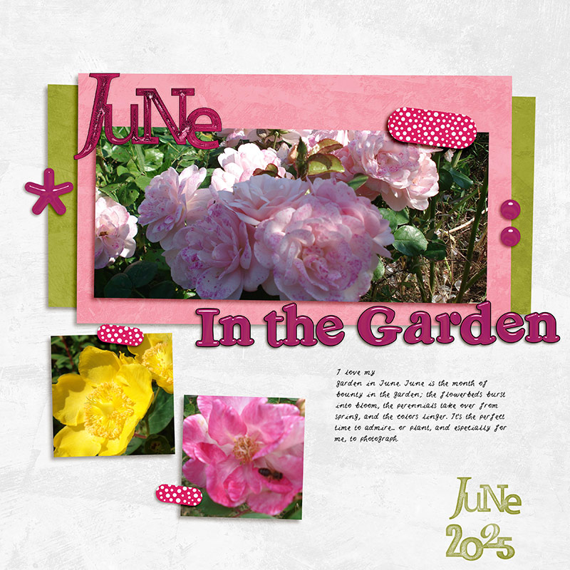 June in the Garden