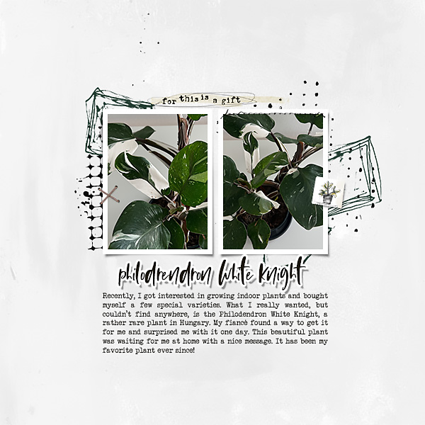 June Journaling Challenge