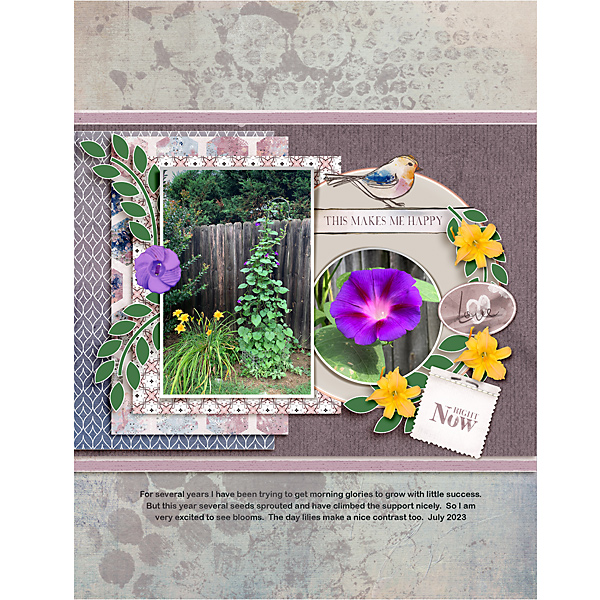 June2023_Fiddle-Dee-Dee-Chall_flowersgal_sq_web