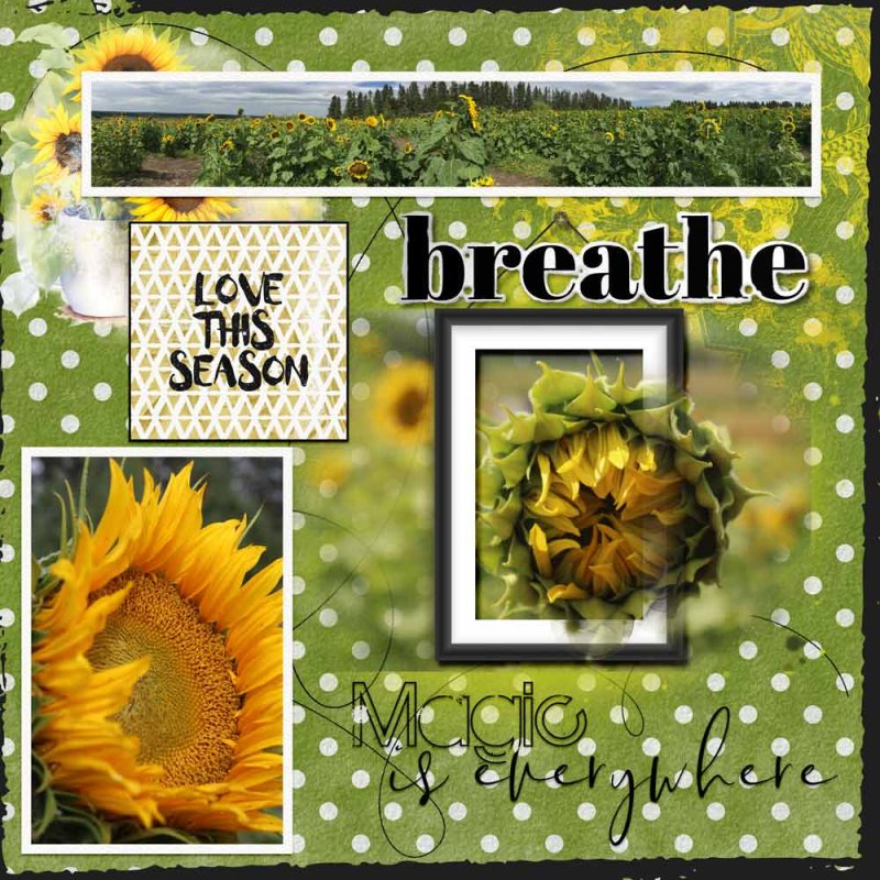 Just Breathe in the Magic