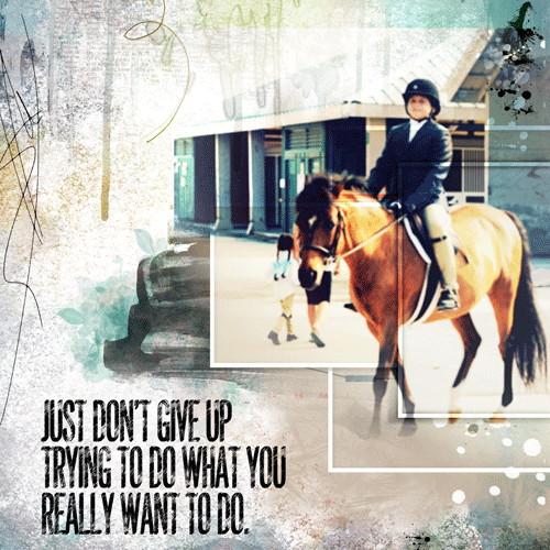 Just Don't Give Up