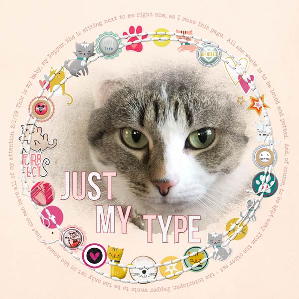 Just-My-Type