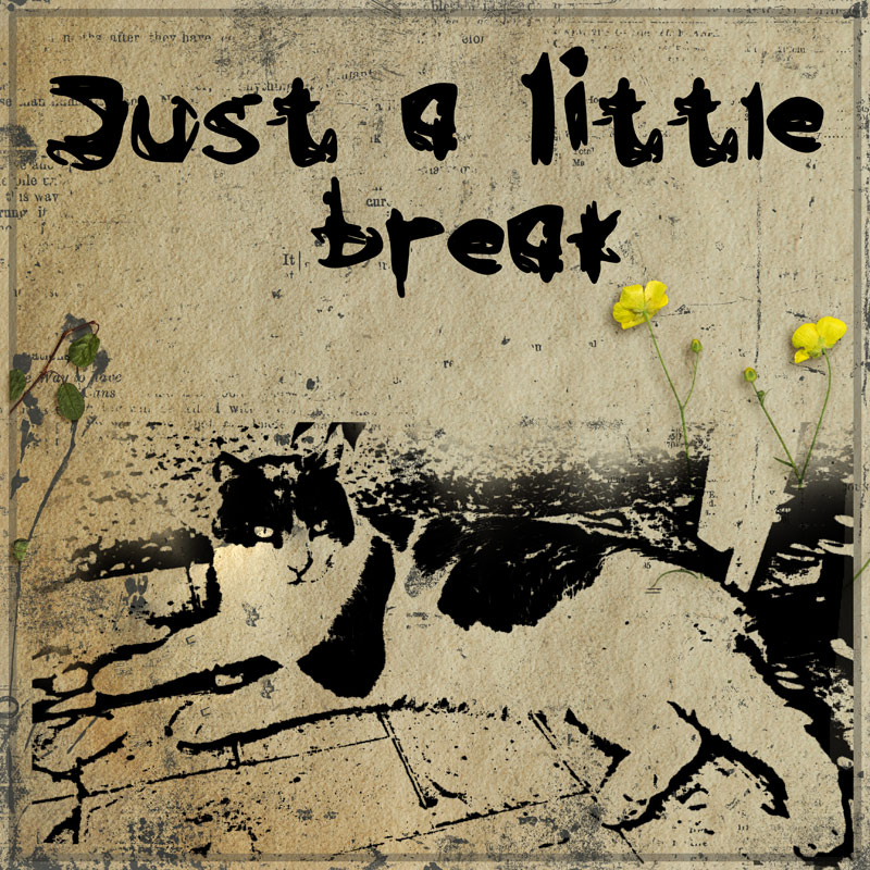 Jut a little break