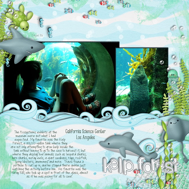 Kelp Forest