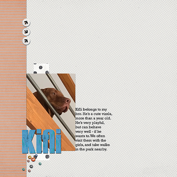 Kifli - Double Layout