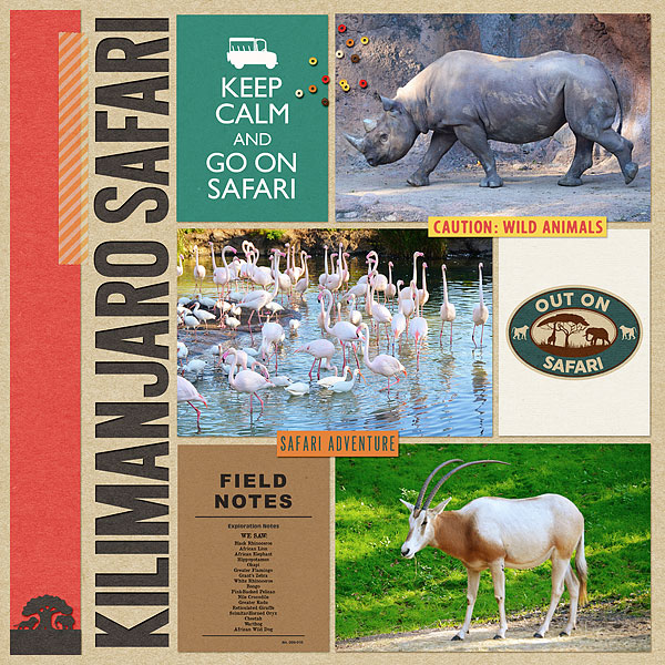 Kilimanjaro Safari January 2017