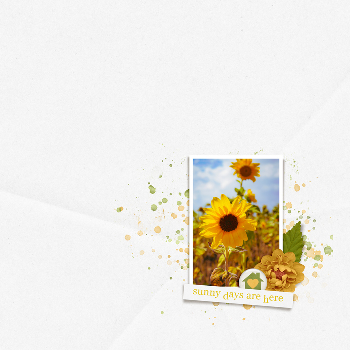 Kim Jensen July 2025 Challenge