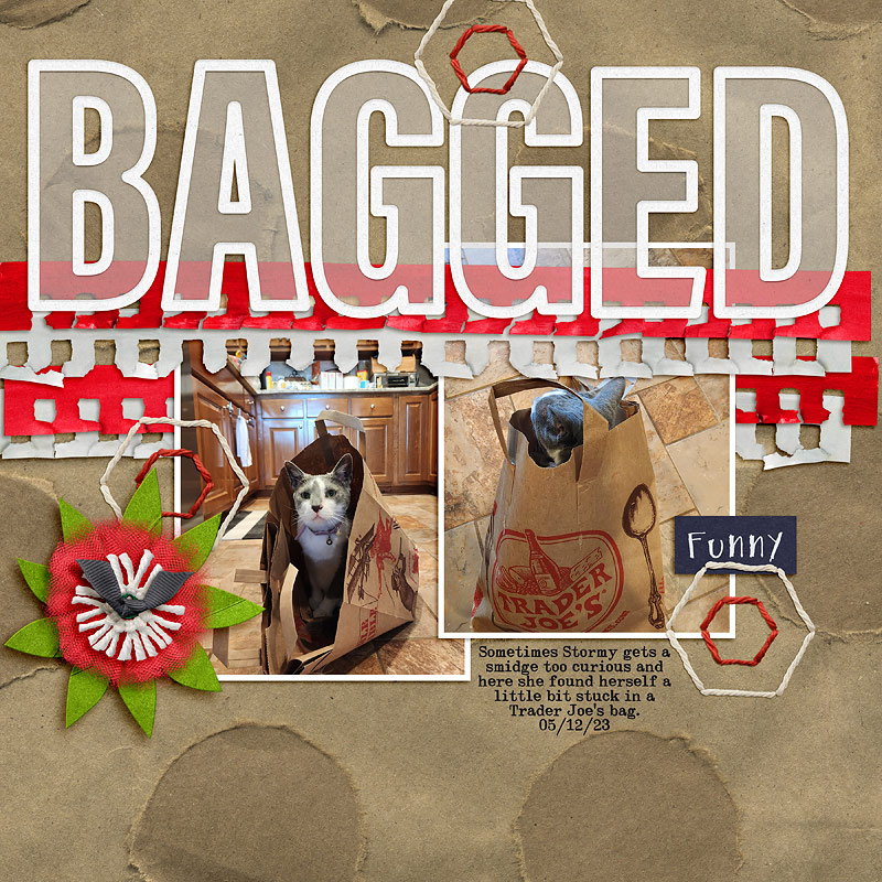 Kim Jensen May 2023 Challenge- Bagged