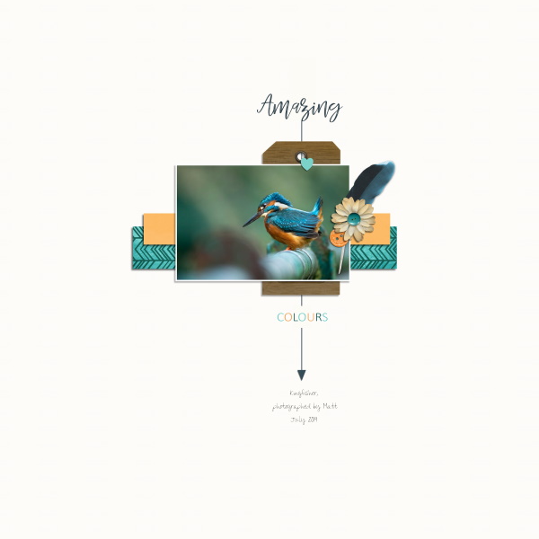 Kingfisher