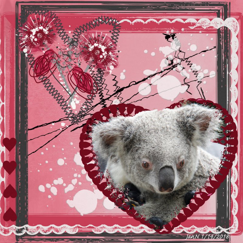 Koala Love - Await No More