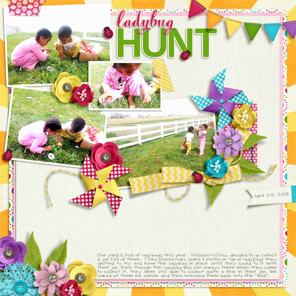 Ladybug Hunt