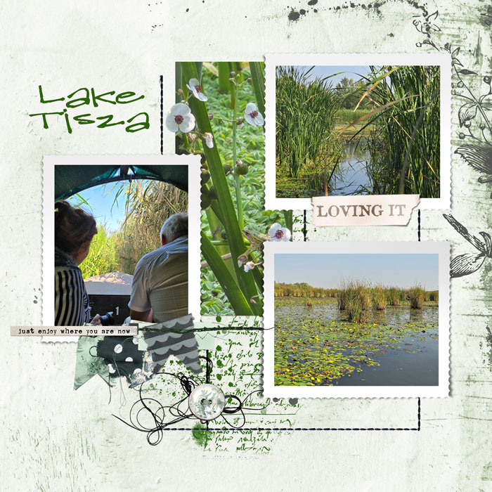 Lake-Tisza