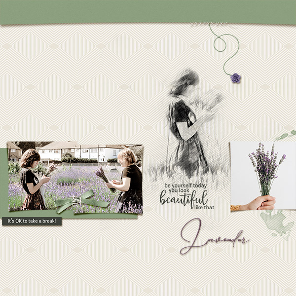 Lavender