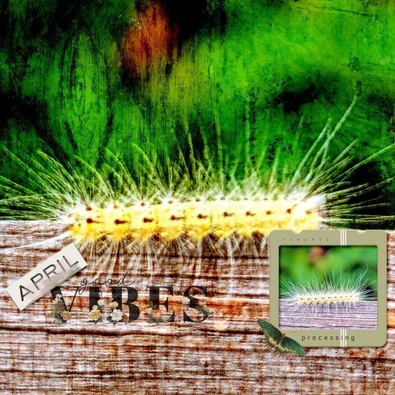 lbw_seedsoftomorrow800.jpg