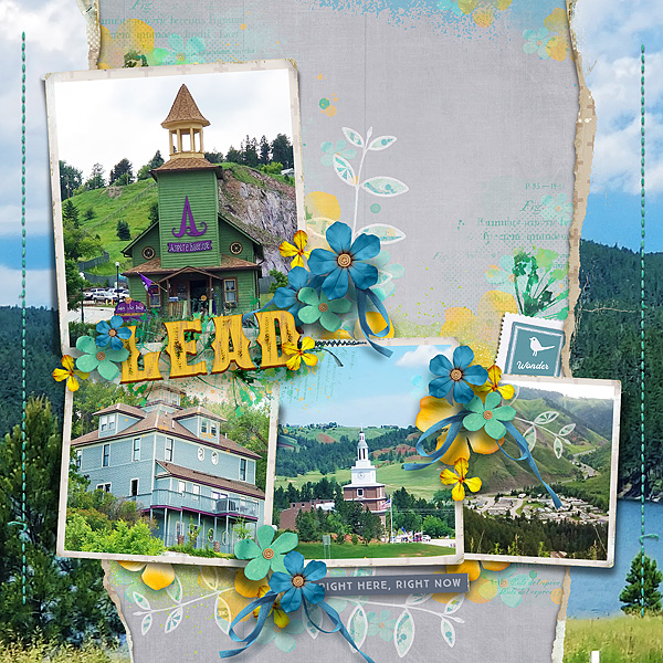 Lead-SD-Lynn-G-chall-Sept-18