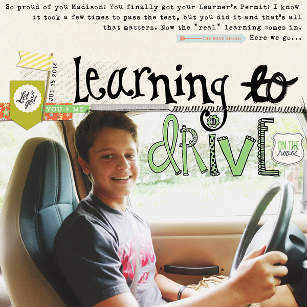 Learning To Drive