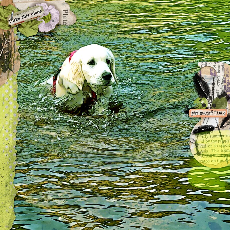Learning to swim