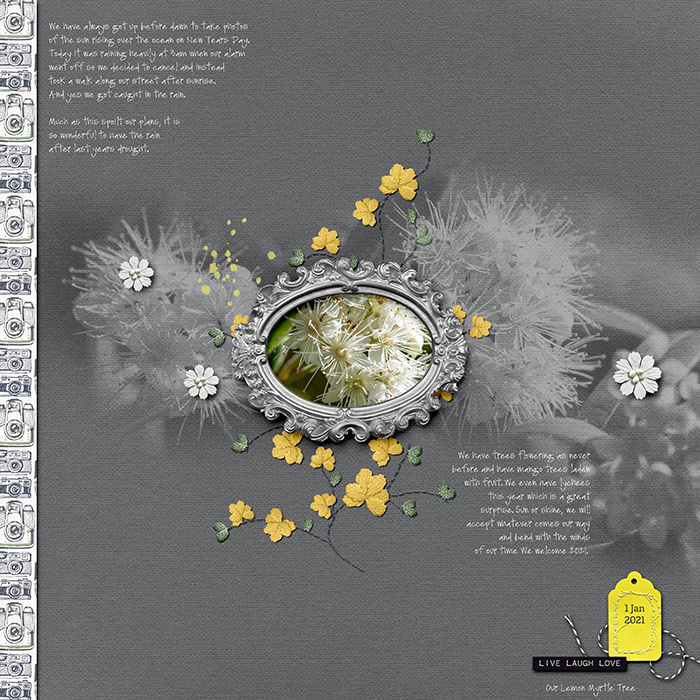 LemonMyrtle