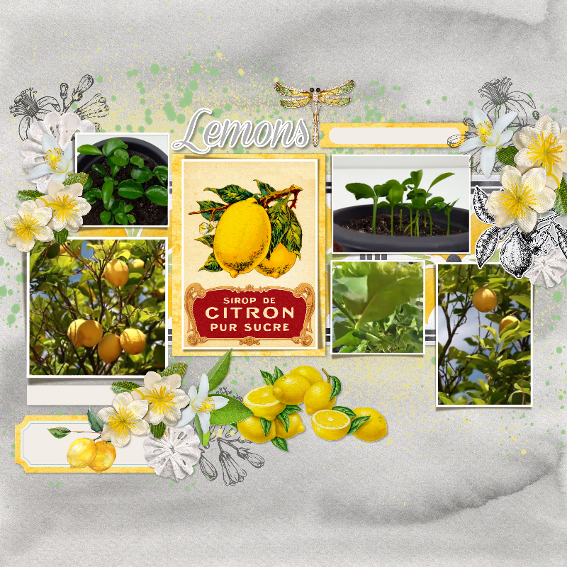Lemons