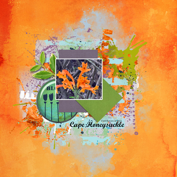 LG_MarchChallengeShapes_janisn