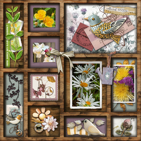 LGFeaturedProduct_Nov_janisn