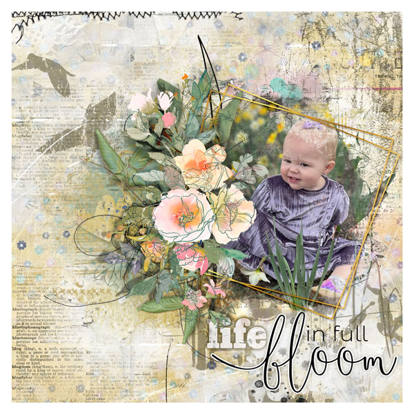Life if Full Bloom