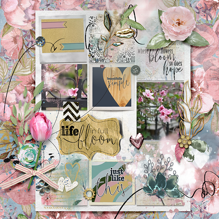 Life in full bloom