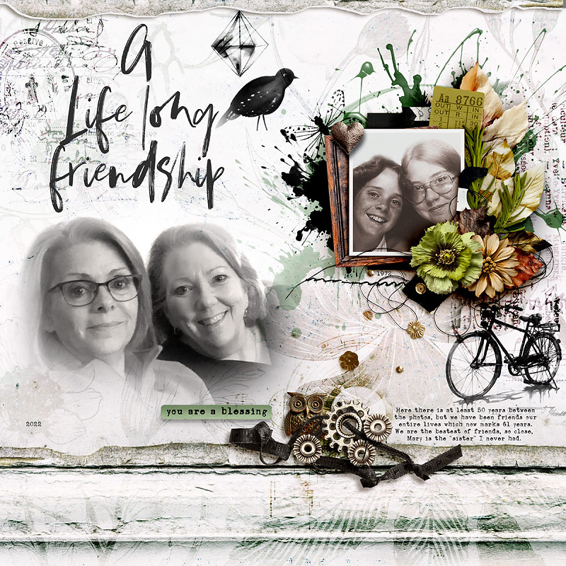 Life Long Friendship