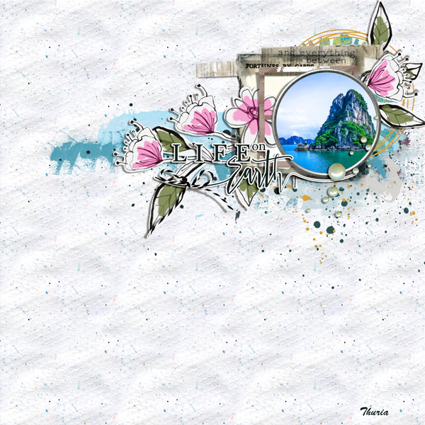 Life on earth