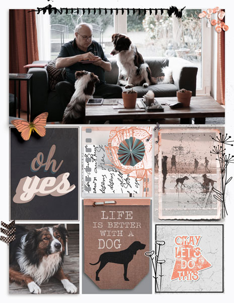 Life with Dogs