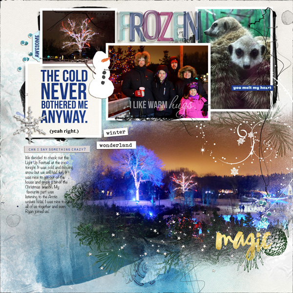Light Up The Zoo