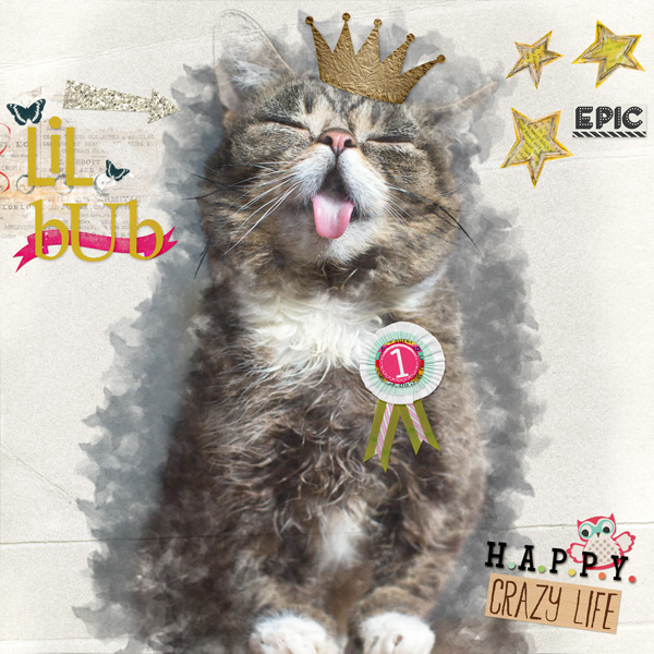 Lil BUB