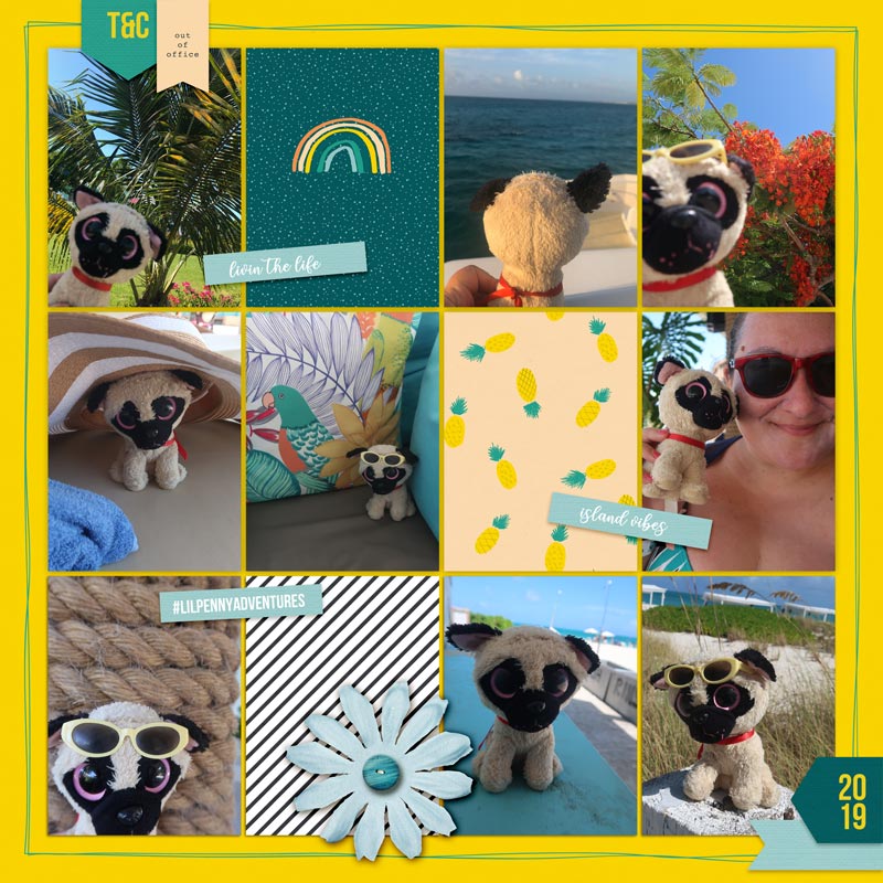 Lil Penny Island Adventures