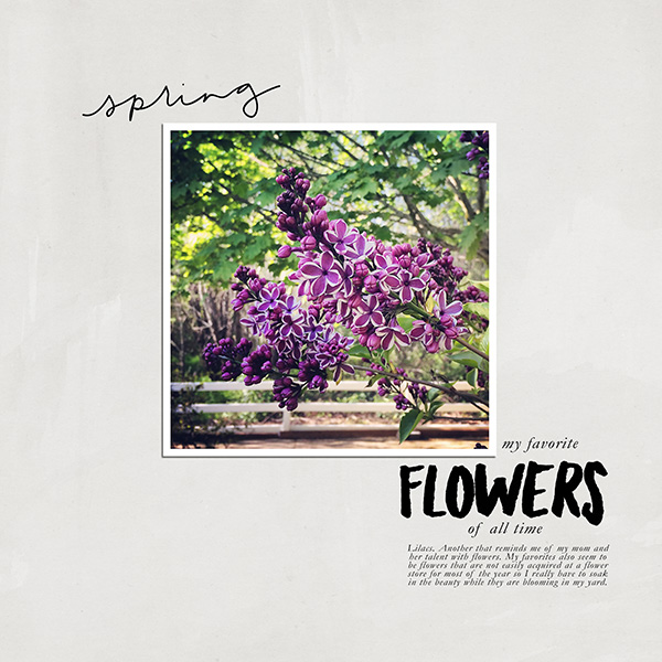 Lilacs