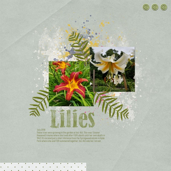 Lilies At Val-Kill