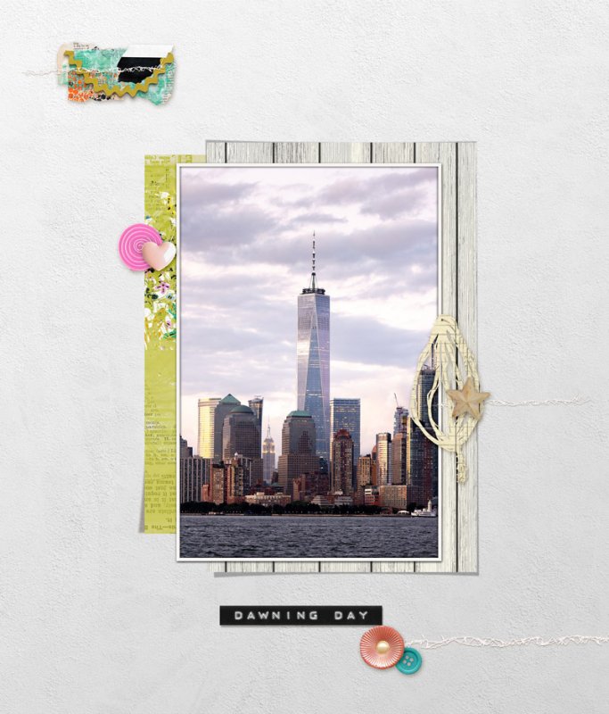 Lily-pad-august-2020-scraplift