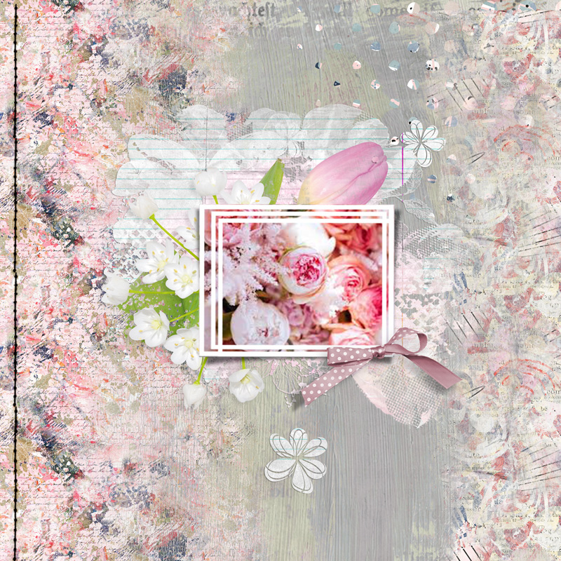 Lily-pad-nbk-may